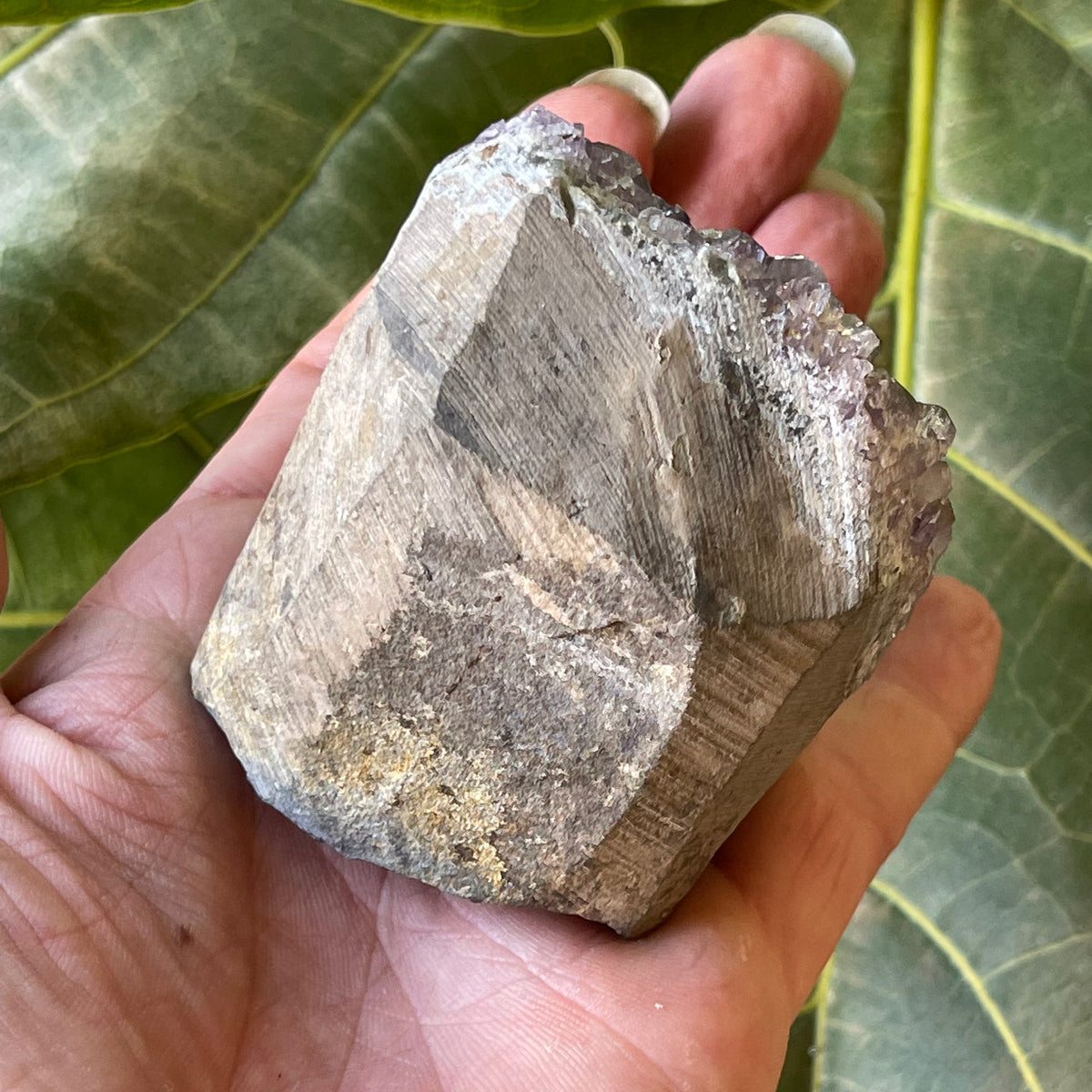 Amethyst Natural Cluster 311g