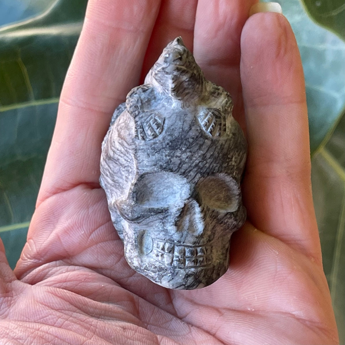 Zebra Stone Lizard &amp; Skull Carving 117g