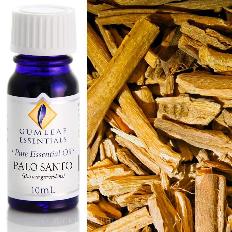 Pure Palo Santo Oil- Buckley &amp; Phillps 10ml - The Spirit of Life