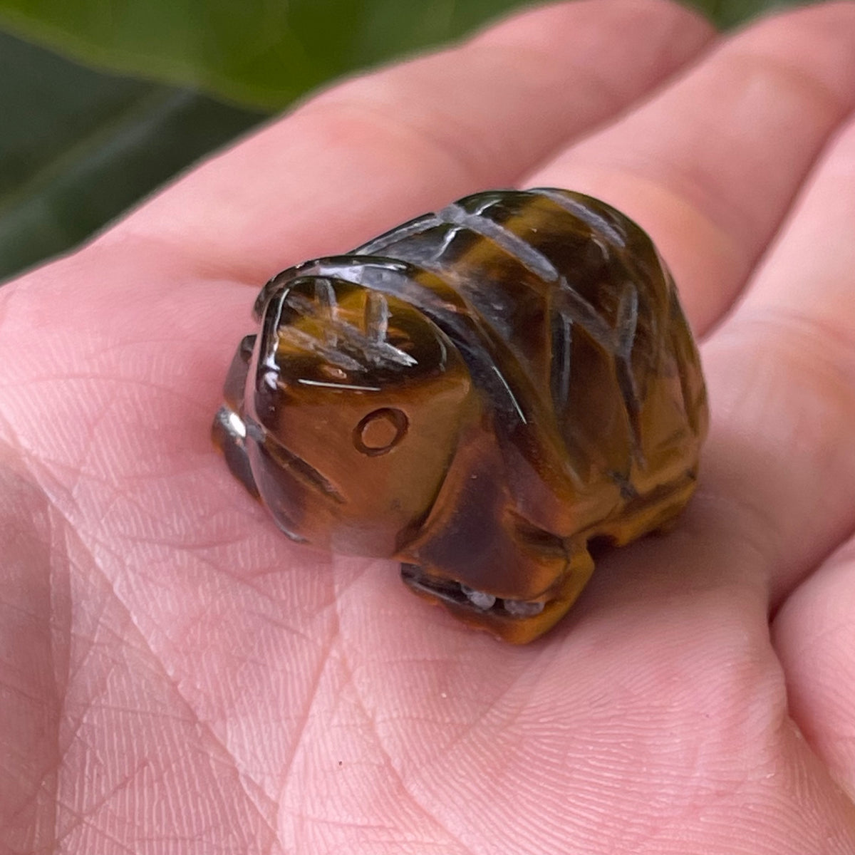 Hand Craved Tigers Eye Turtle 30g