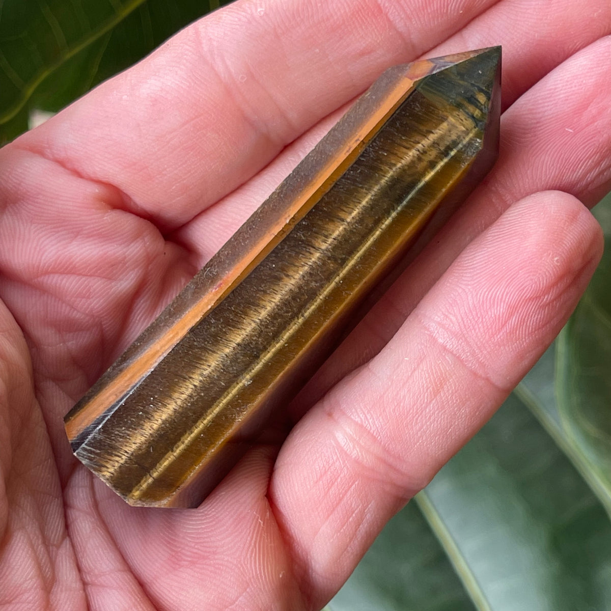 Tigers Eye Point 50g