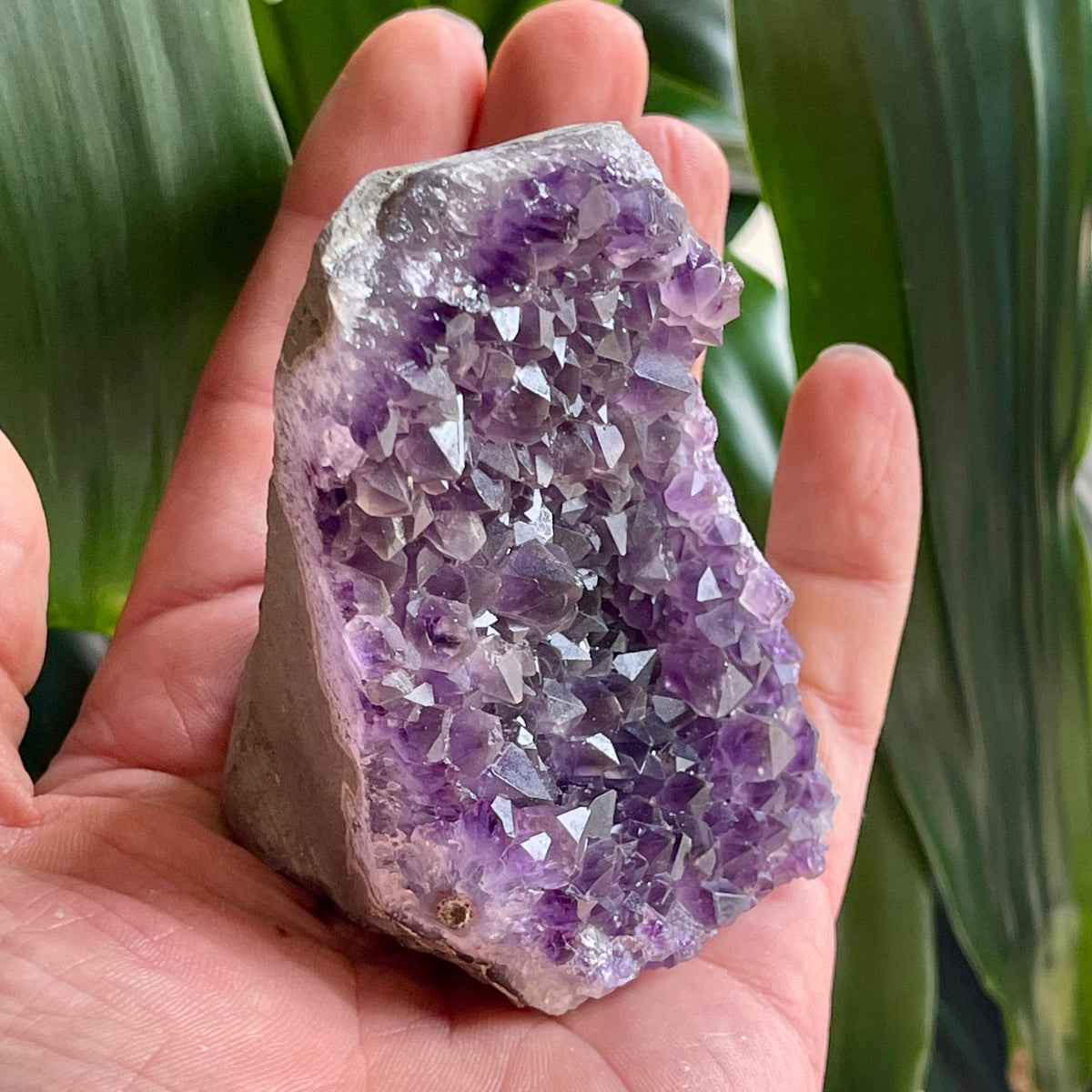 Stunning Amethyst Cave 290g - The Spirit of Life