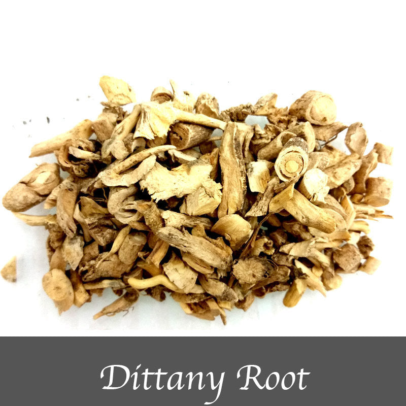 Dittany root 15g - The Spirit of Life