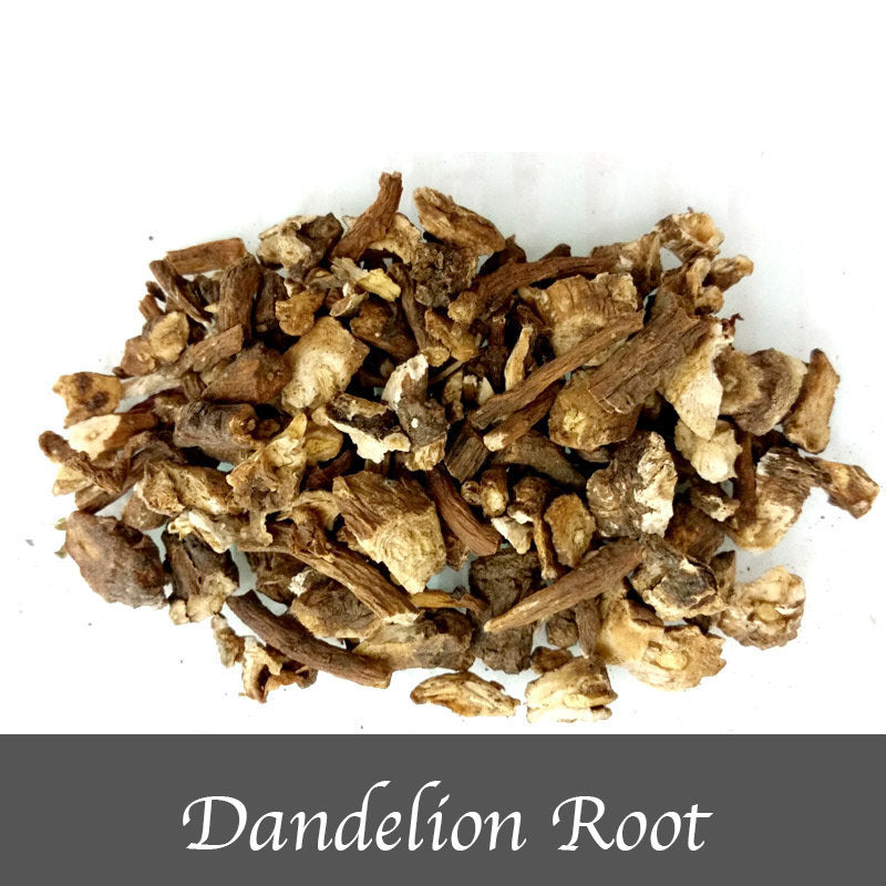 Dandelion root 15g - The Spirit of Life
