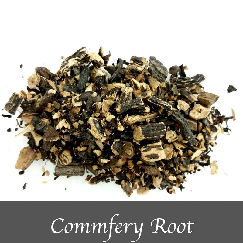 Comfrey Root 15g - The Spirit of Life