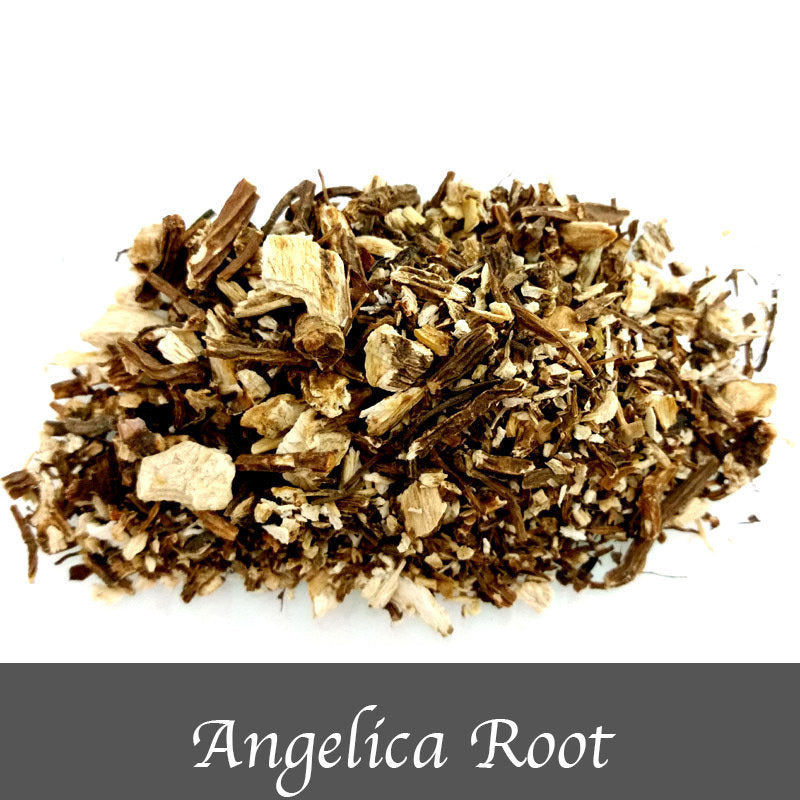 Angelica Root 15g - The Spirit of Life