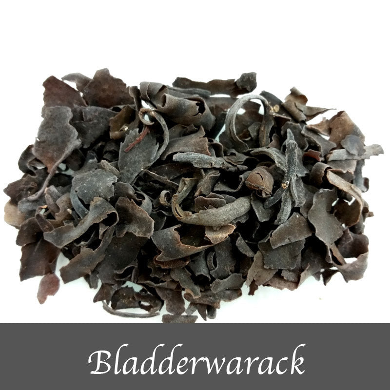 Bladderwrack 15g - The Spirit of Life