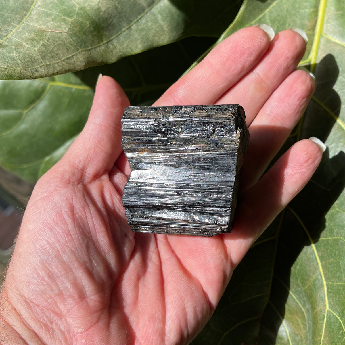227g Natural Raw Black Tourmaline Crystal