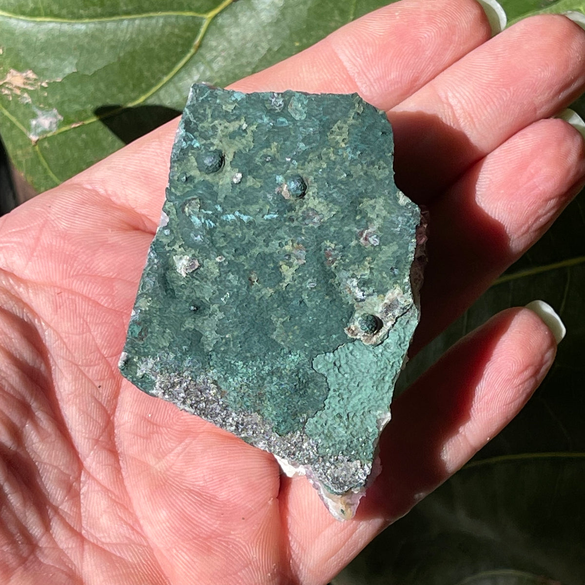 AAA Natural Amethyst Cluster 83g