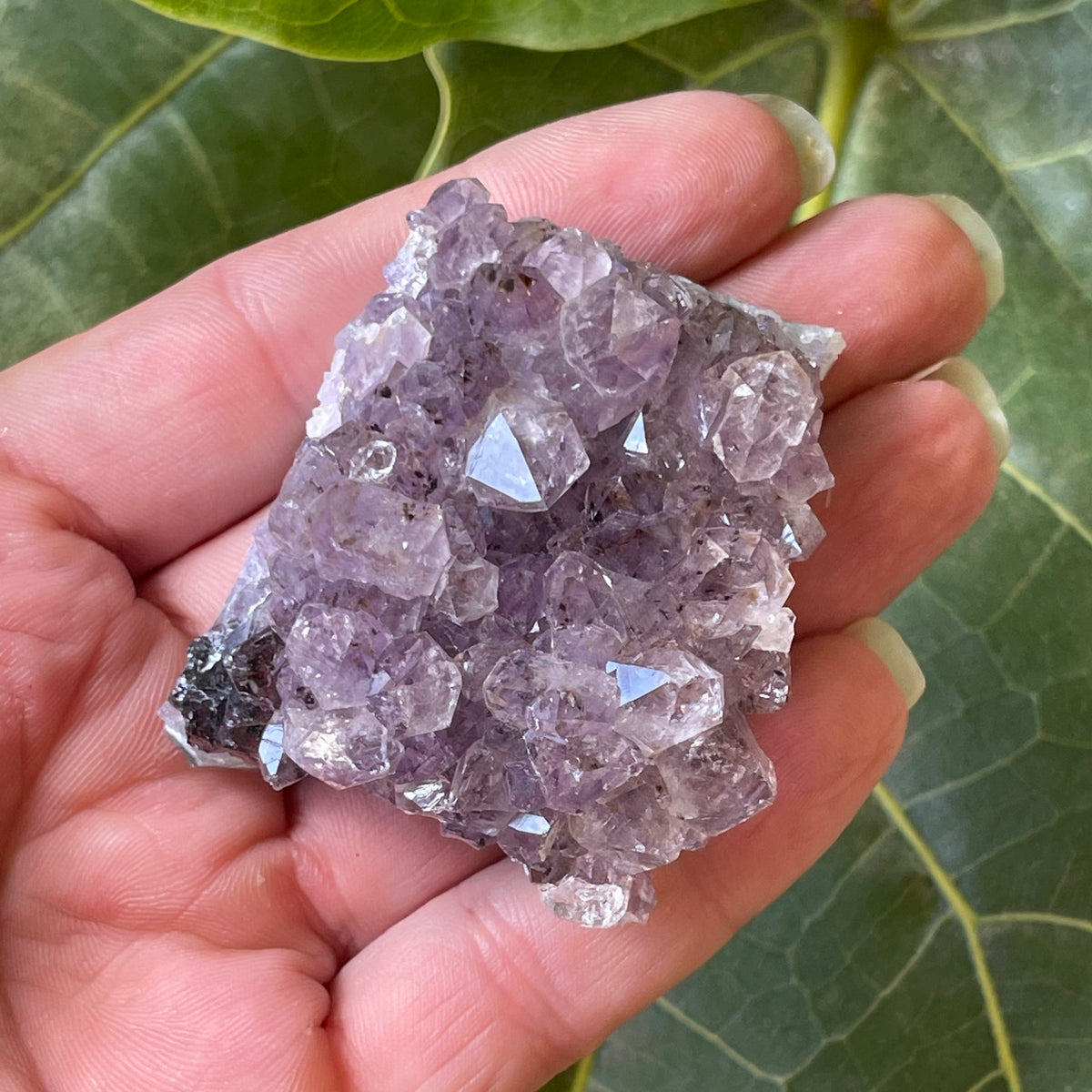 AAA Natural Amethyst Cluster 87g