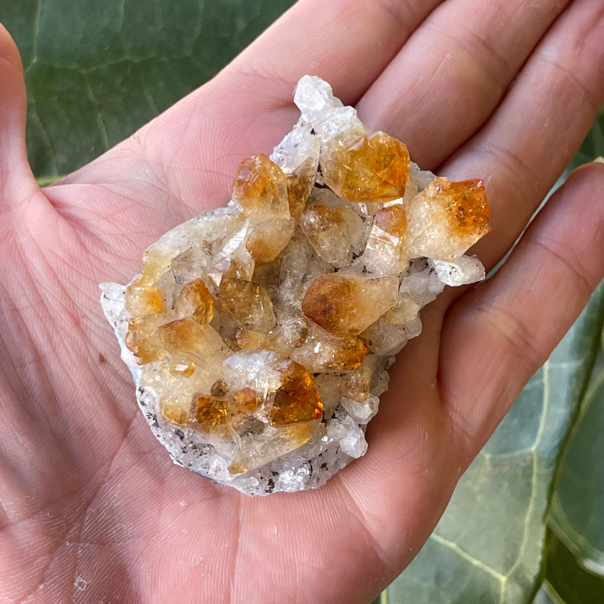 Citrine Cluster 92g