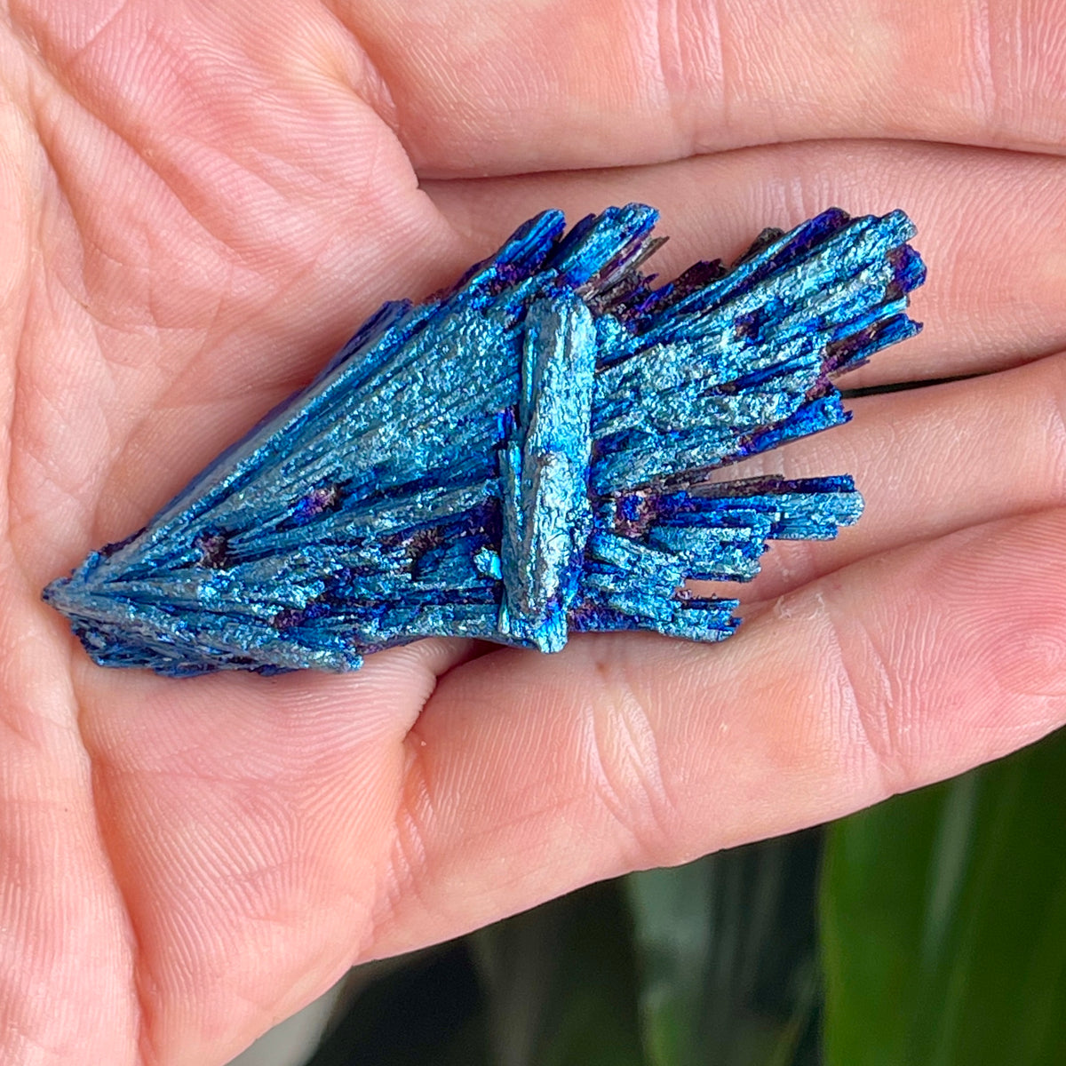 Kyanite Titanium - The Spirit of Life