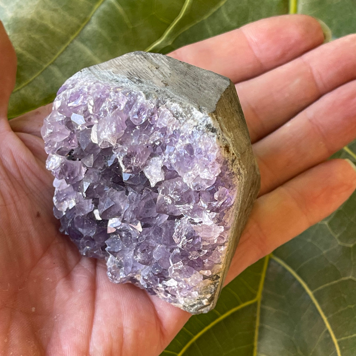 Amethyst Natural Cluster 311g