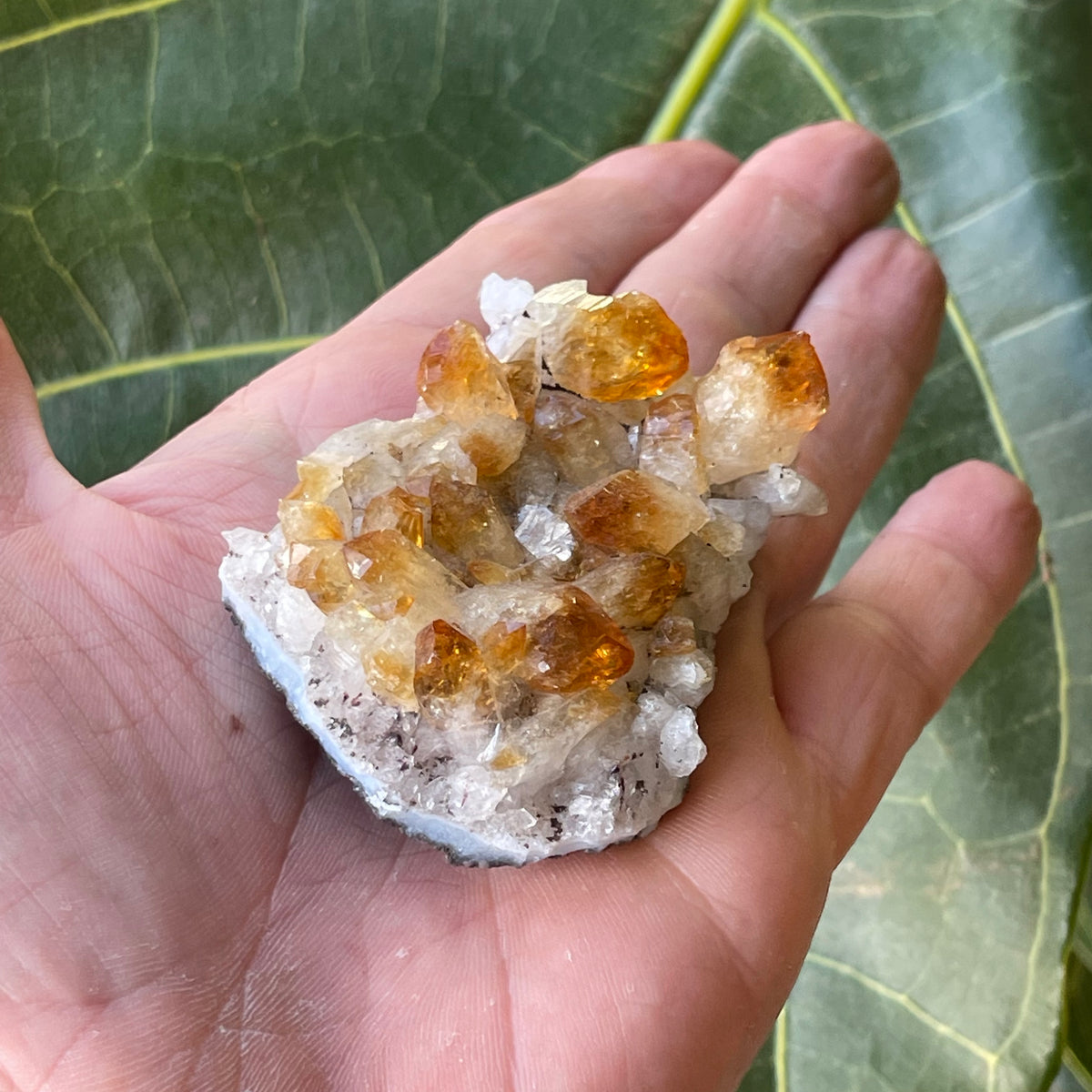 Citrine Cluster 92g