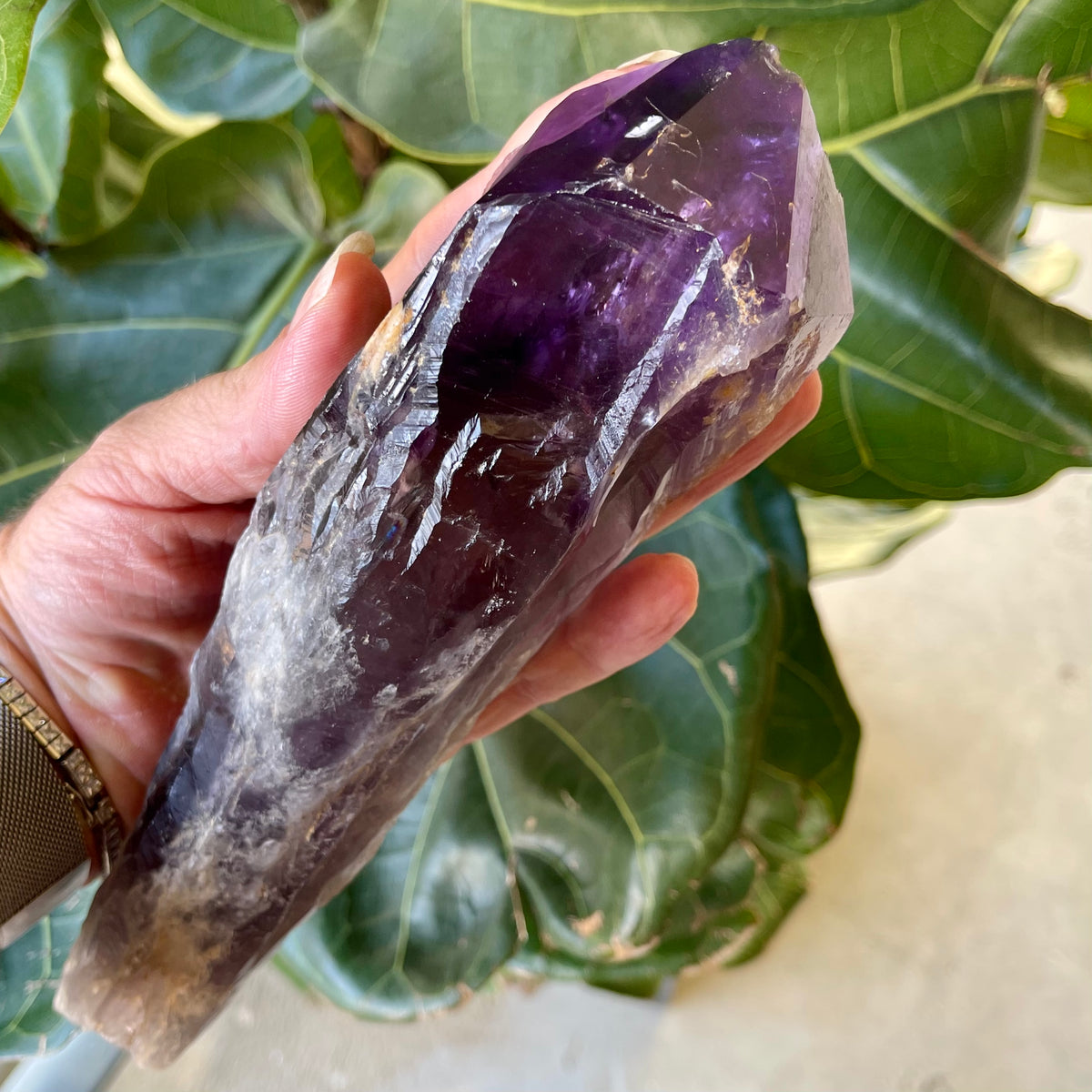Natural Amethyst Tooth / Wand