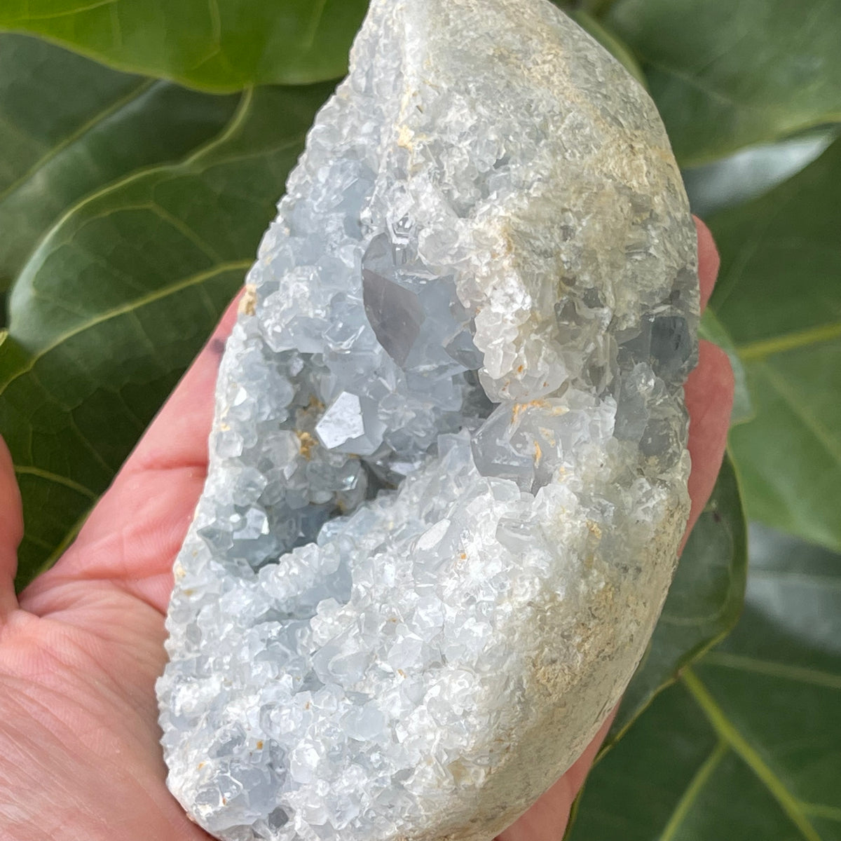 Natural Angelite Egg