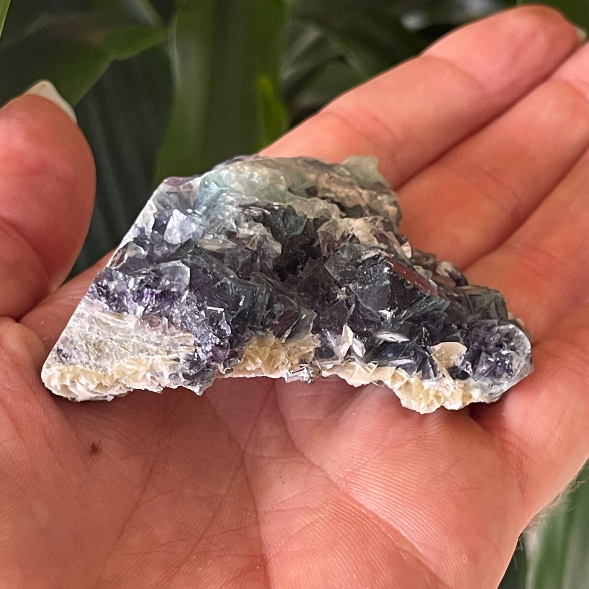 Purple cube Fluorite Cluster on Matrix - The Spirit of Life