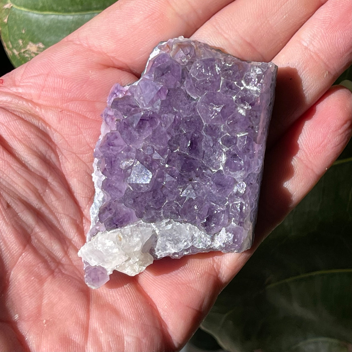AAA Natural Amethyst Cluster 83g