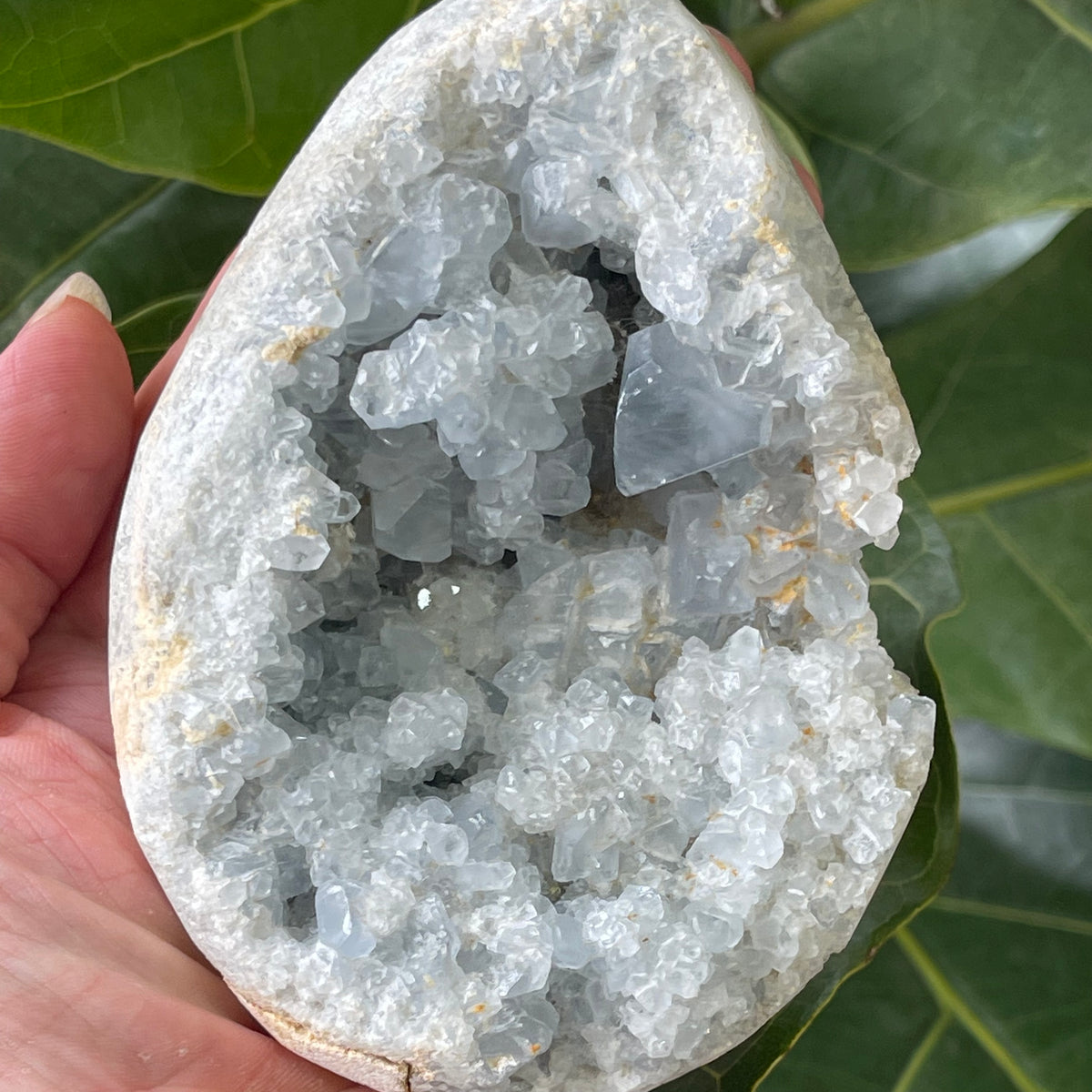 Natural Angelite Egg