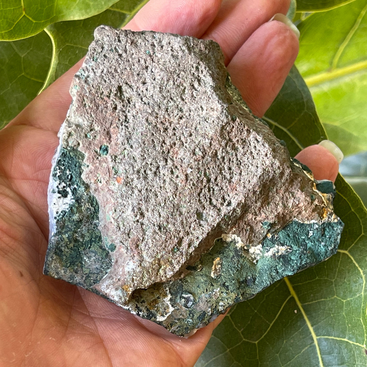 AAA Natural Pale Amethyst Cluster 207g