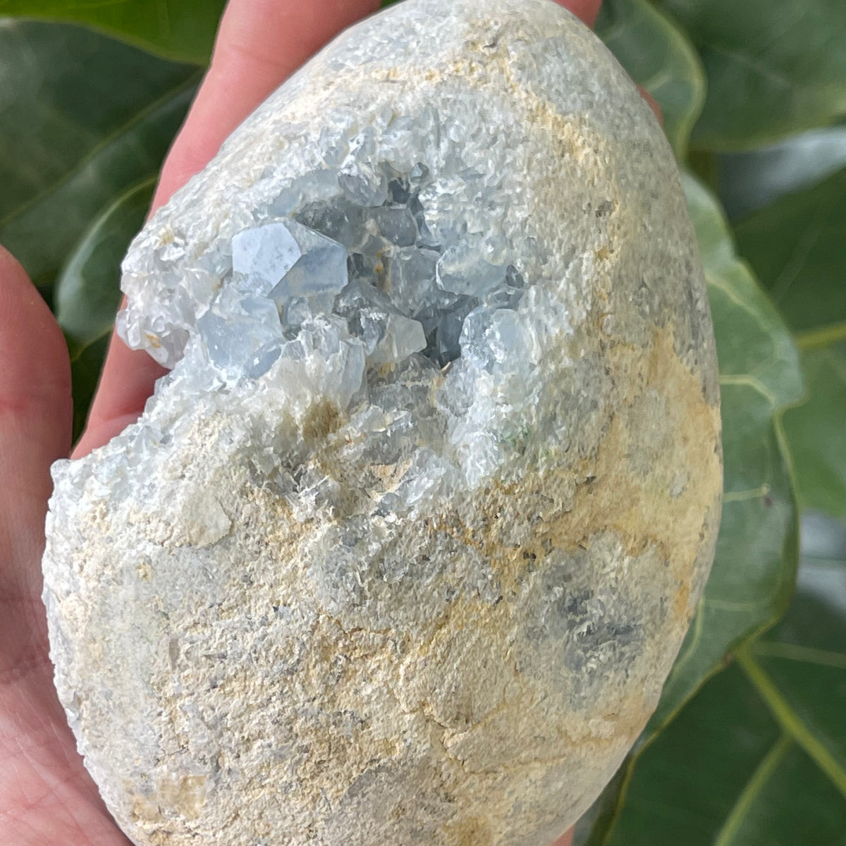 Natural Angelite Egg