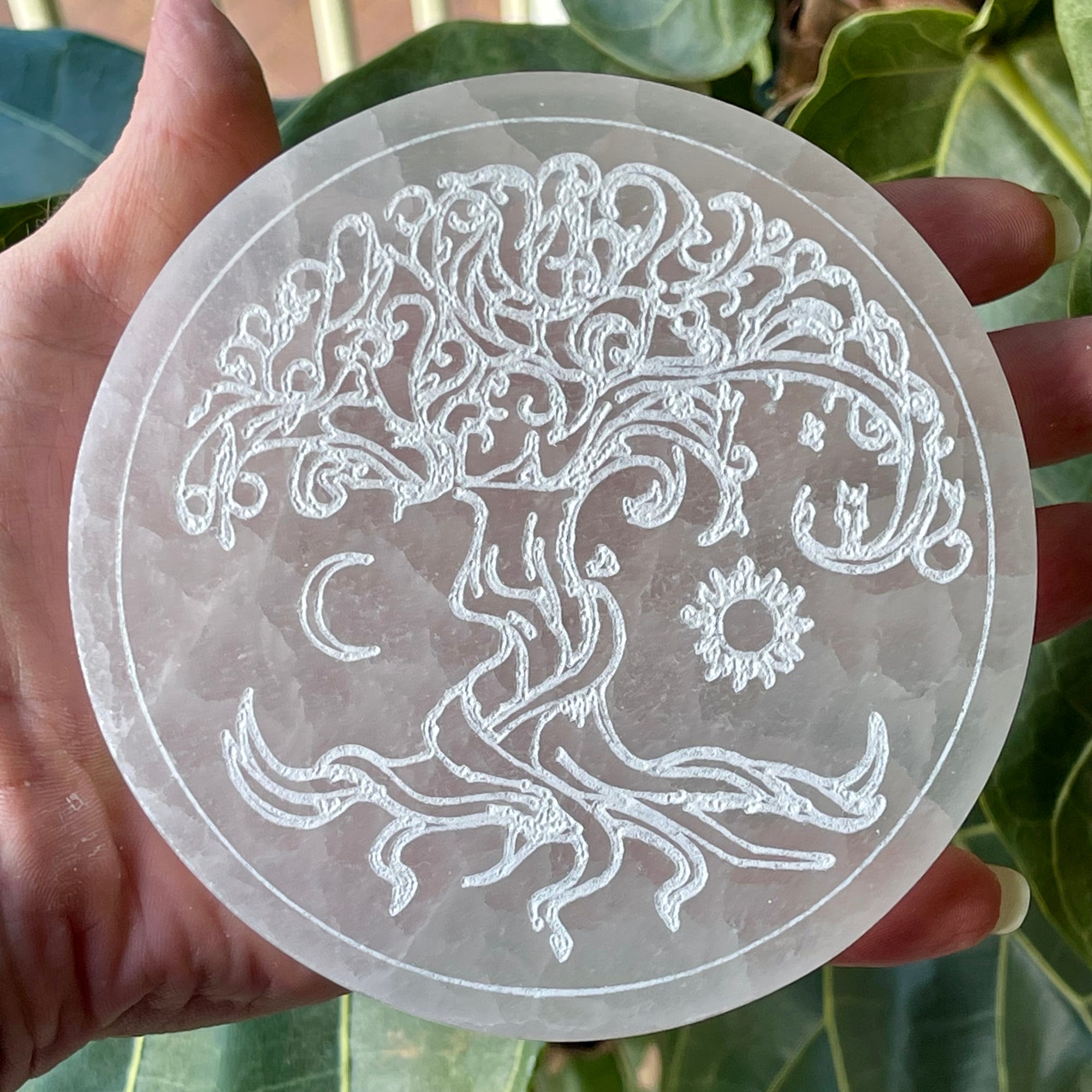 Engraved Selenite Charging Plate Tree of Life