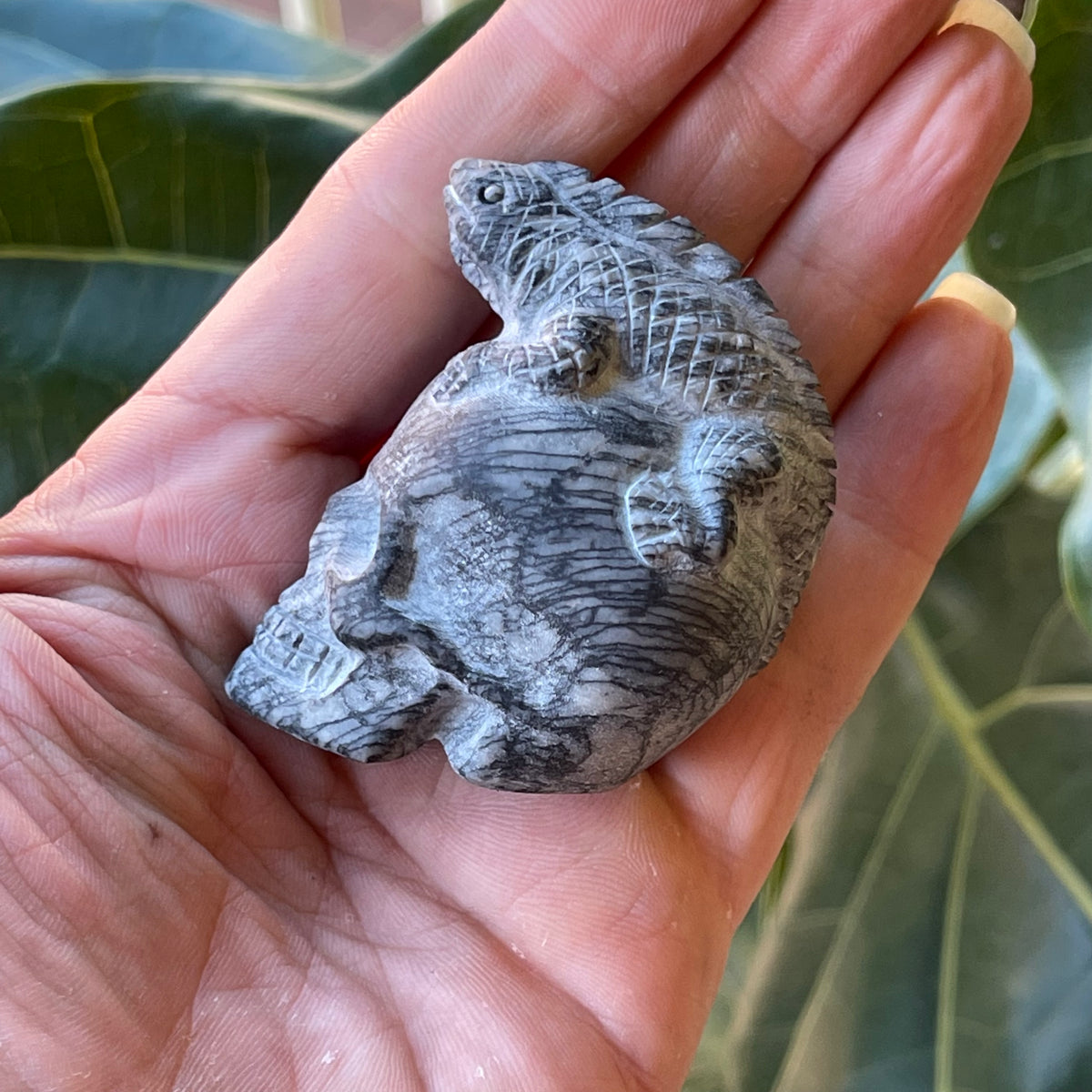 Zebra Stone Lizard &amp; Skull Carving 117g