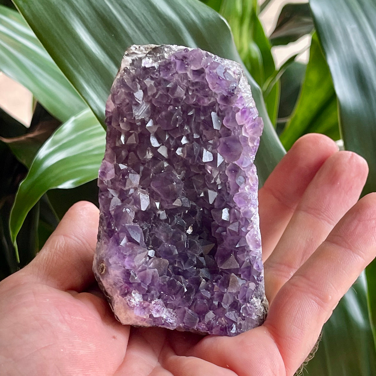 Stunning Amethyst Cave 290g - The Spirit of Life