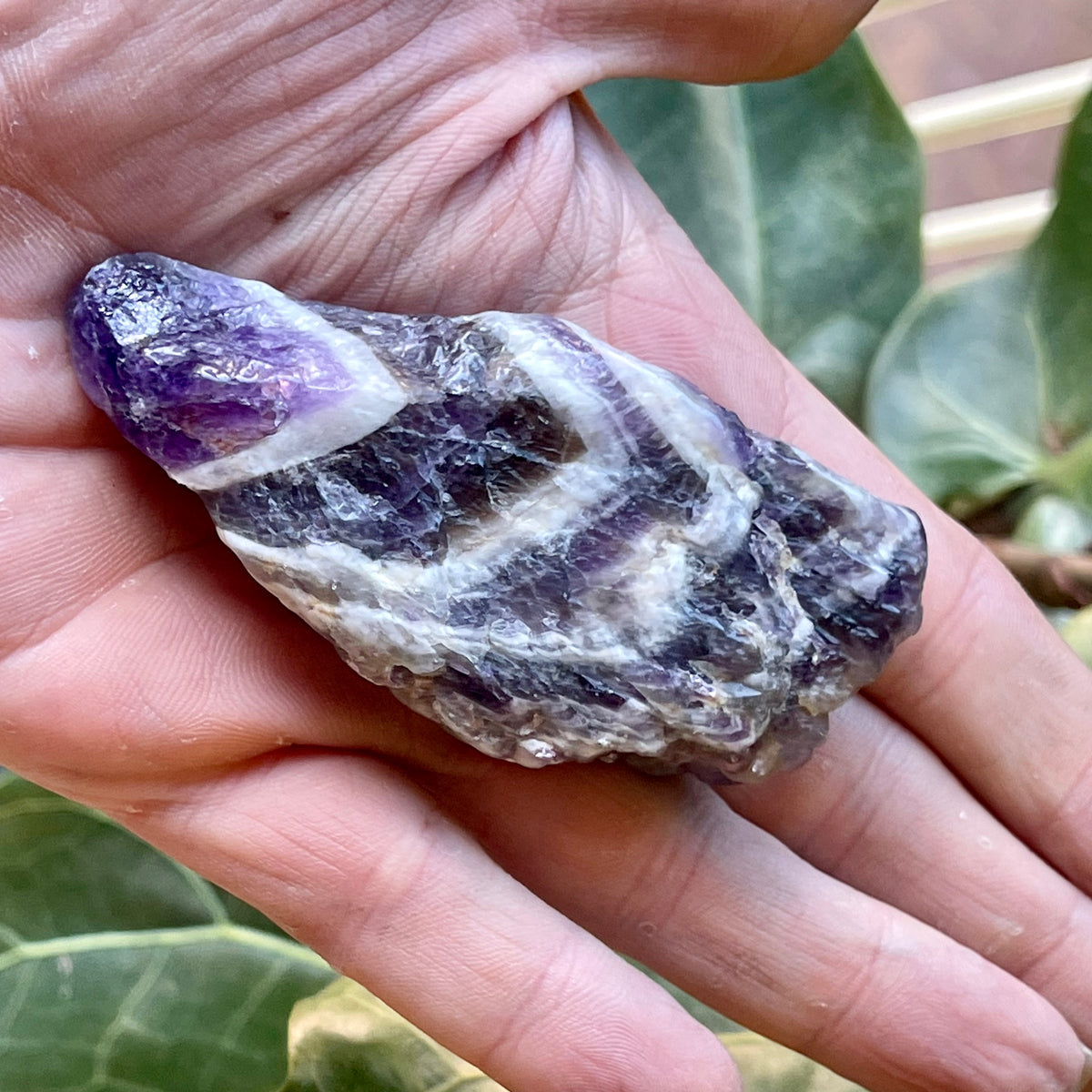 Chevron Amethyst Semi Polished Point