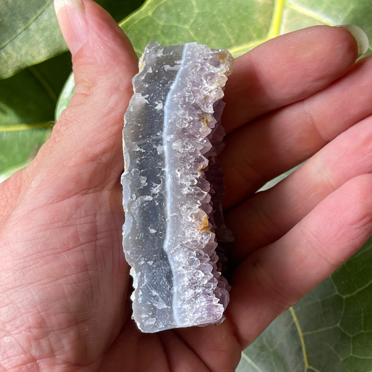 AAA Natural Amethyst Cluster