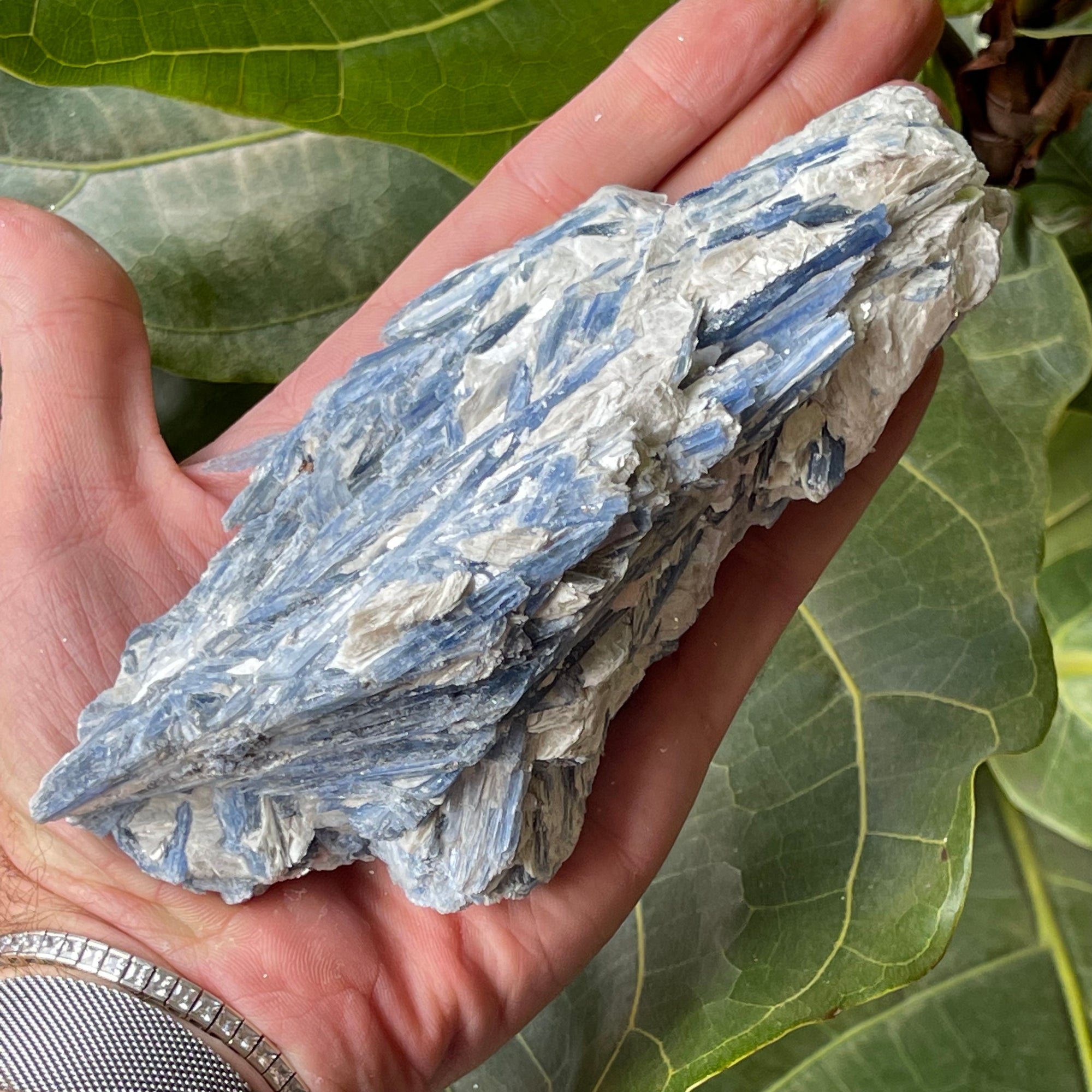 Natural  kyanite Crystal Cluster 557g
