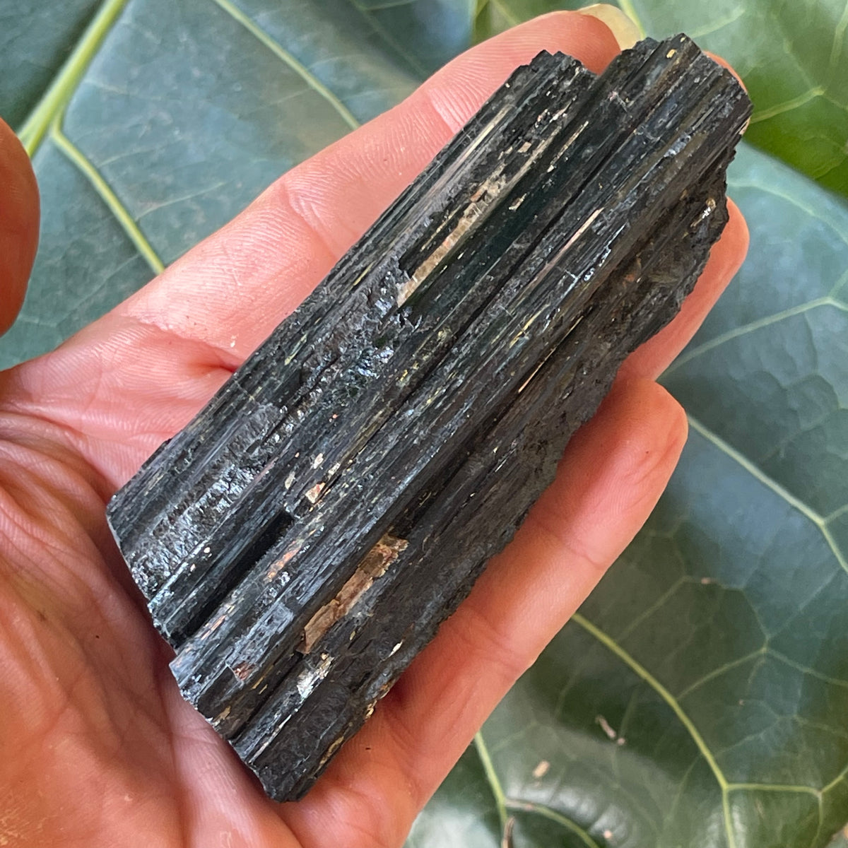 Natural Black Tourmaline 226g