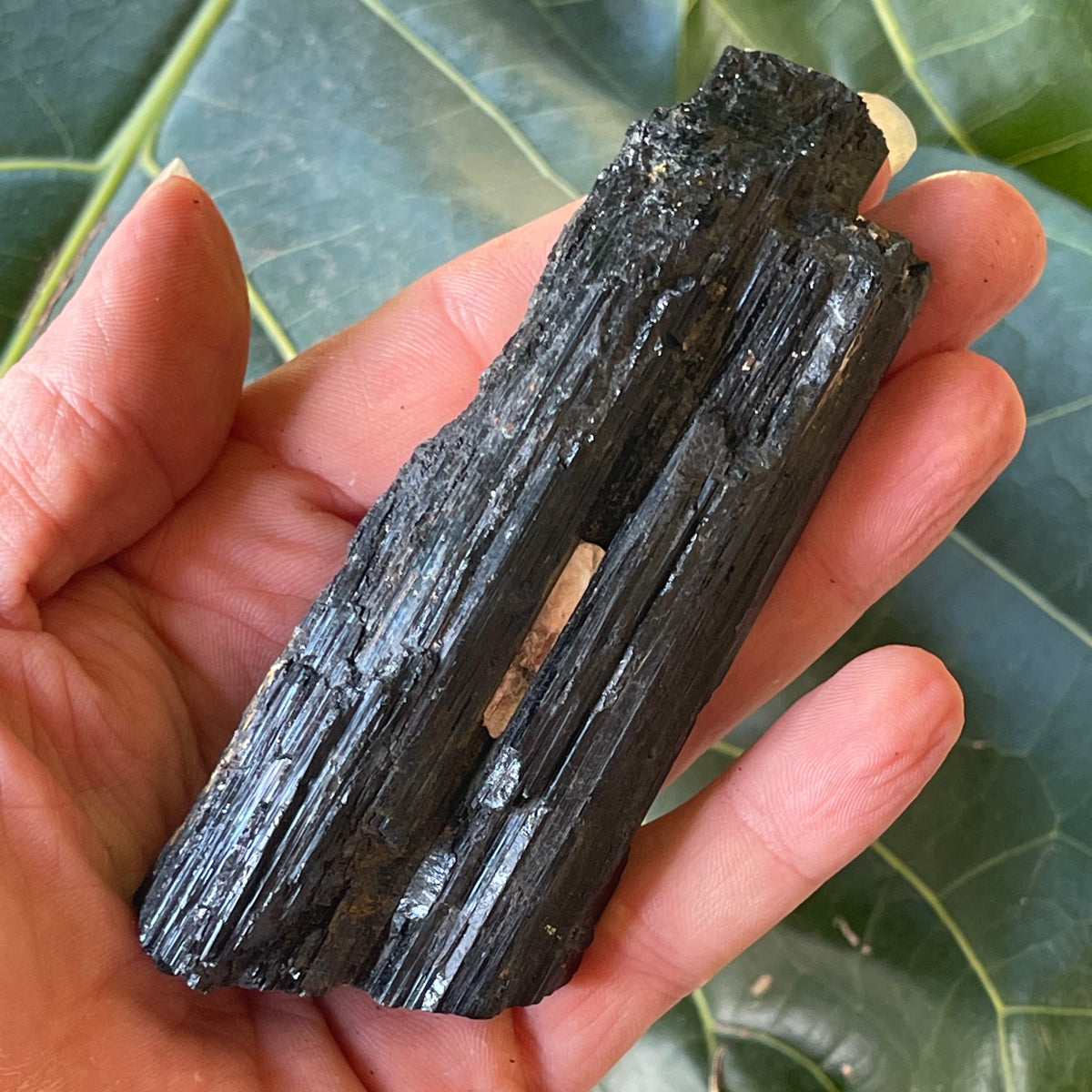 Natural Black Tourmaline 226g