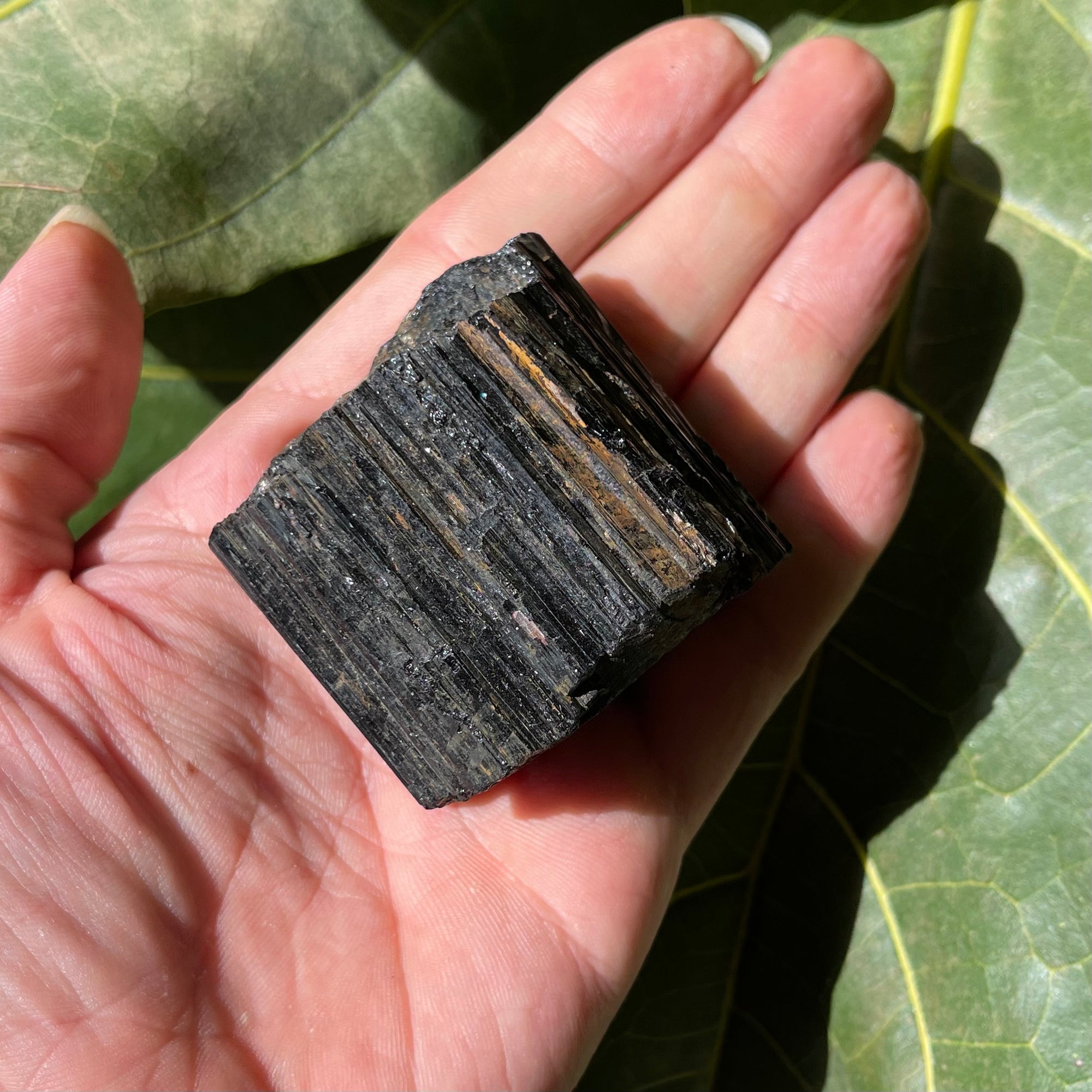 227g Natural Raw Black Tourmaline Crystal