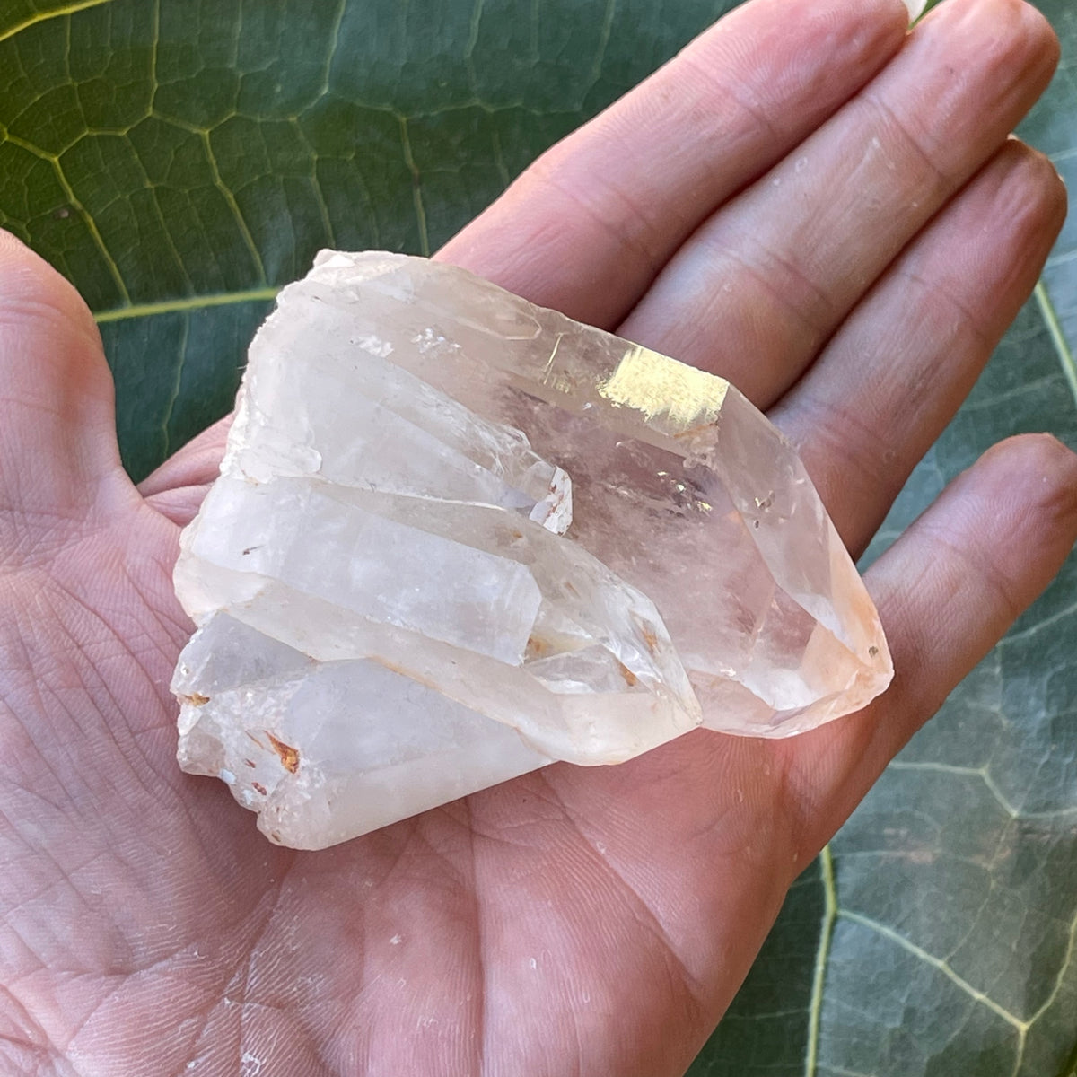 Clear Quartz Natural Cluster 221g