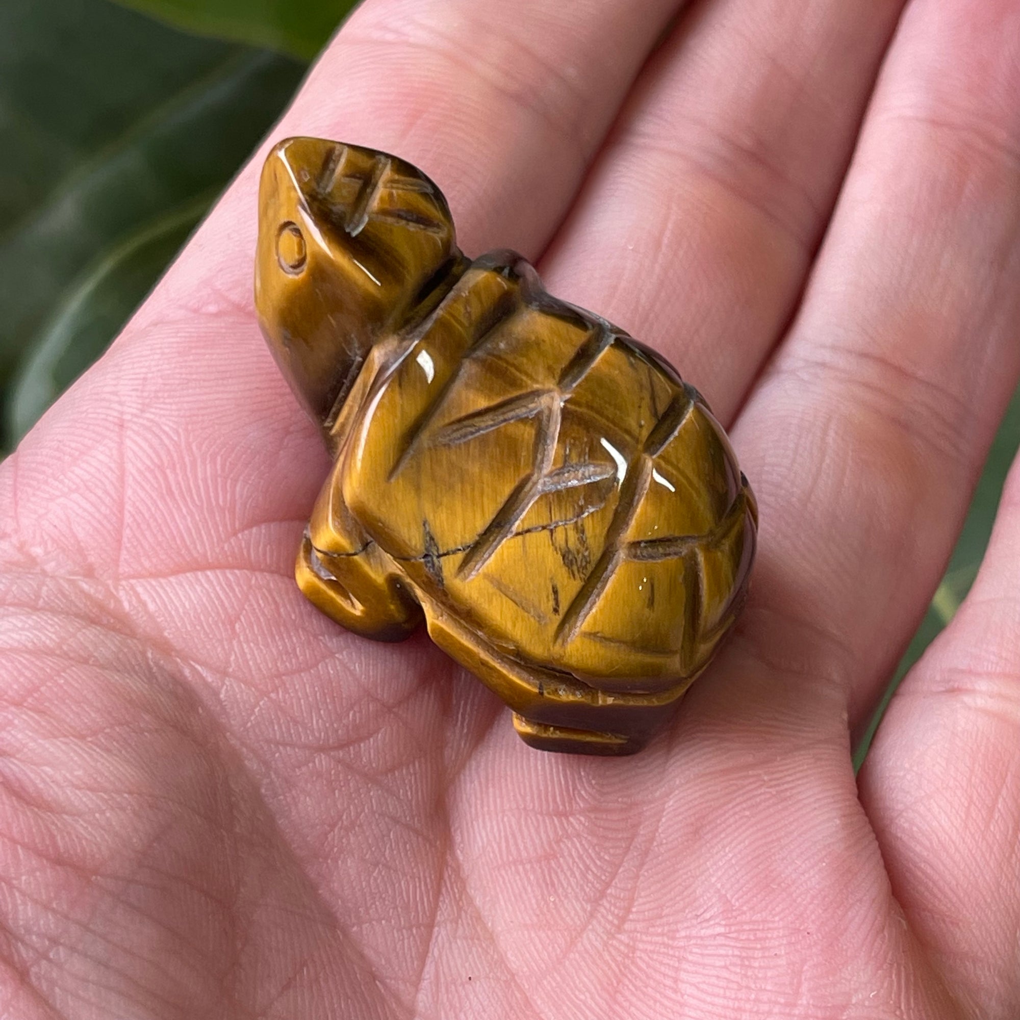 Hand Craved Tigers Eye Turtle 30g