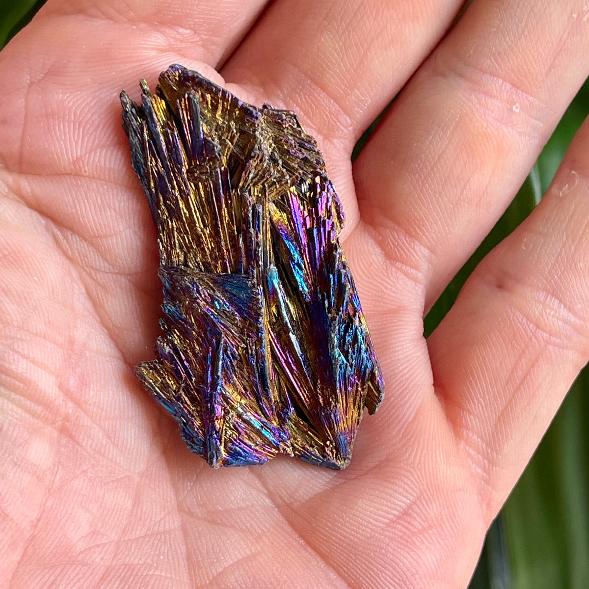 Kyanite Titanium - The Spirit of Life