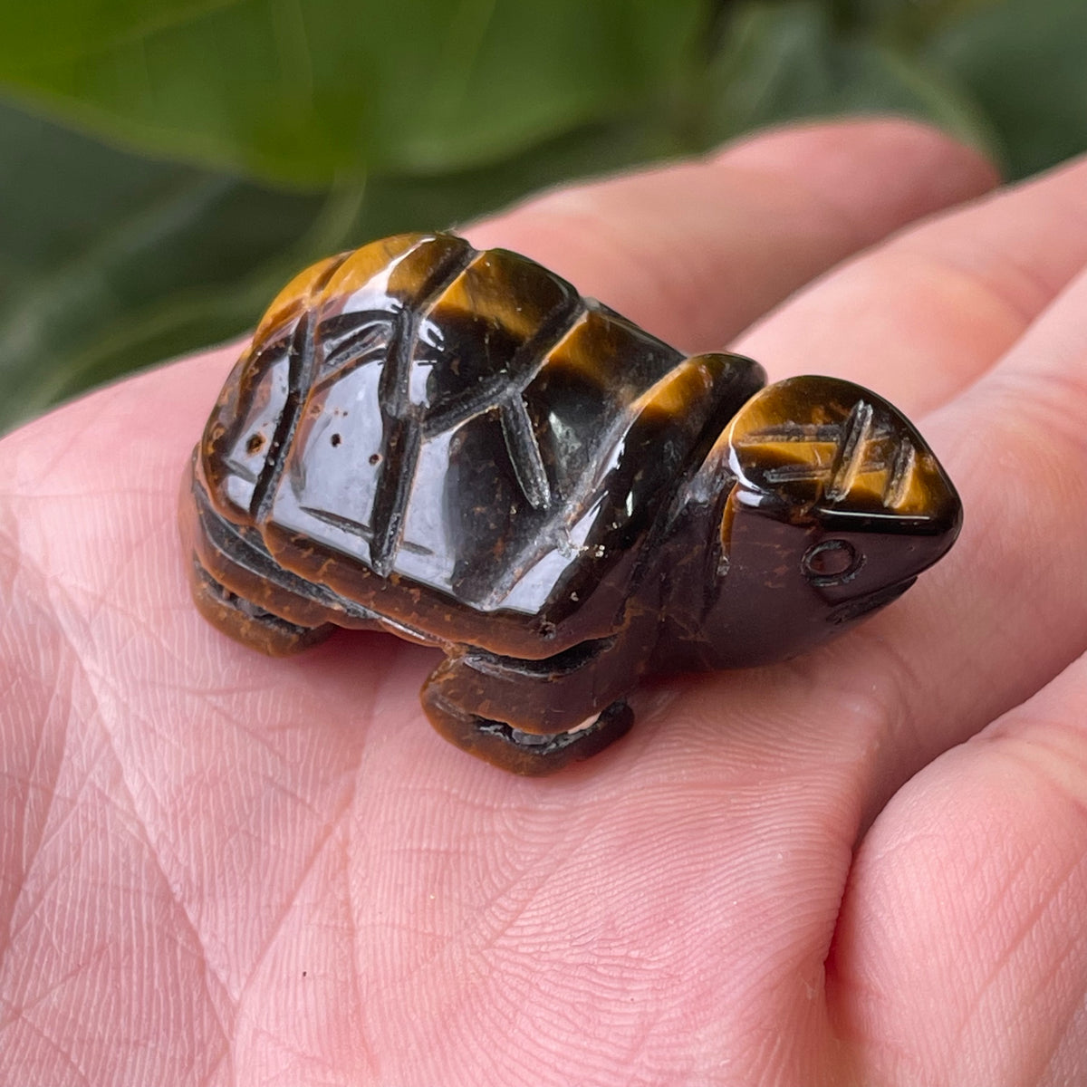 Hand Craved Tigers Eye Turtle 30g