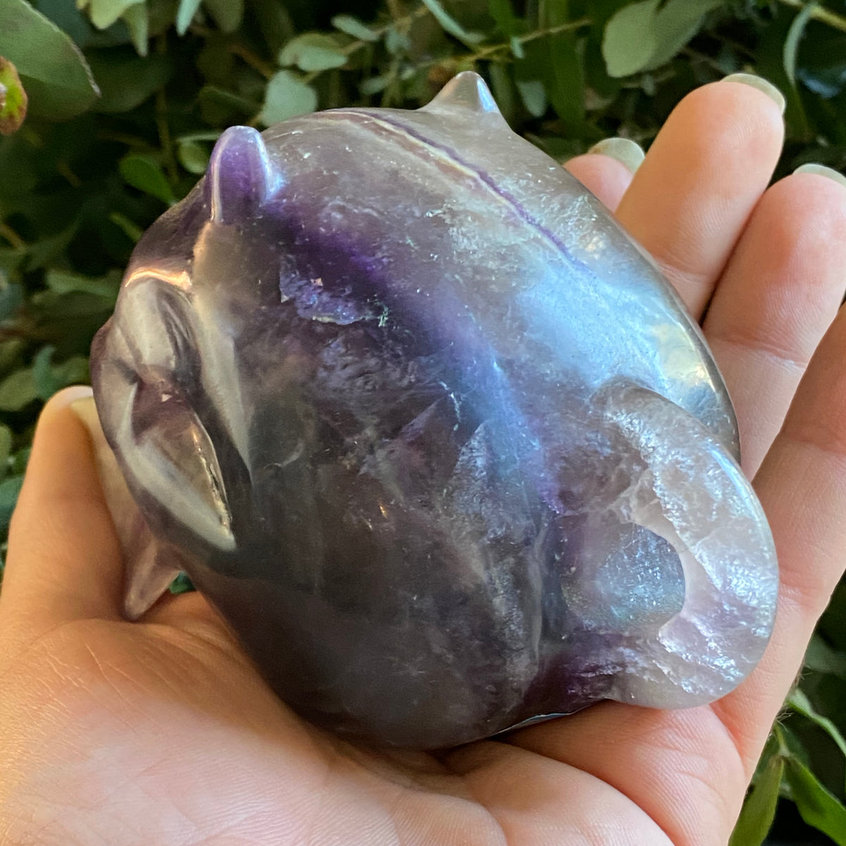 Fluorite Devil Skull - The Spirit of Life