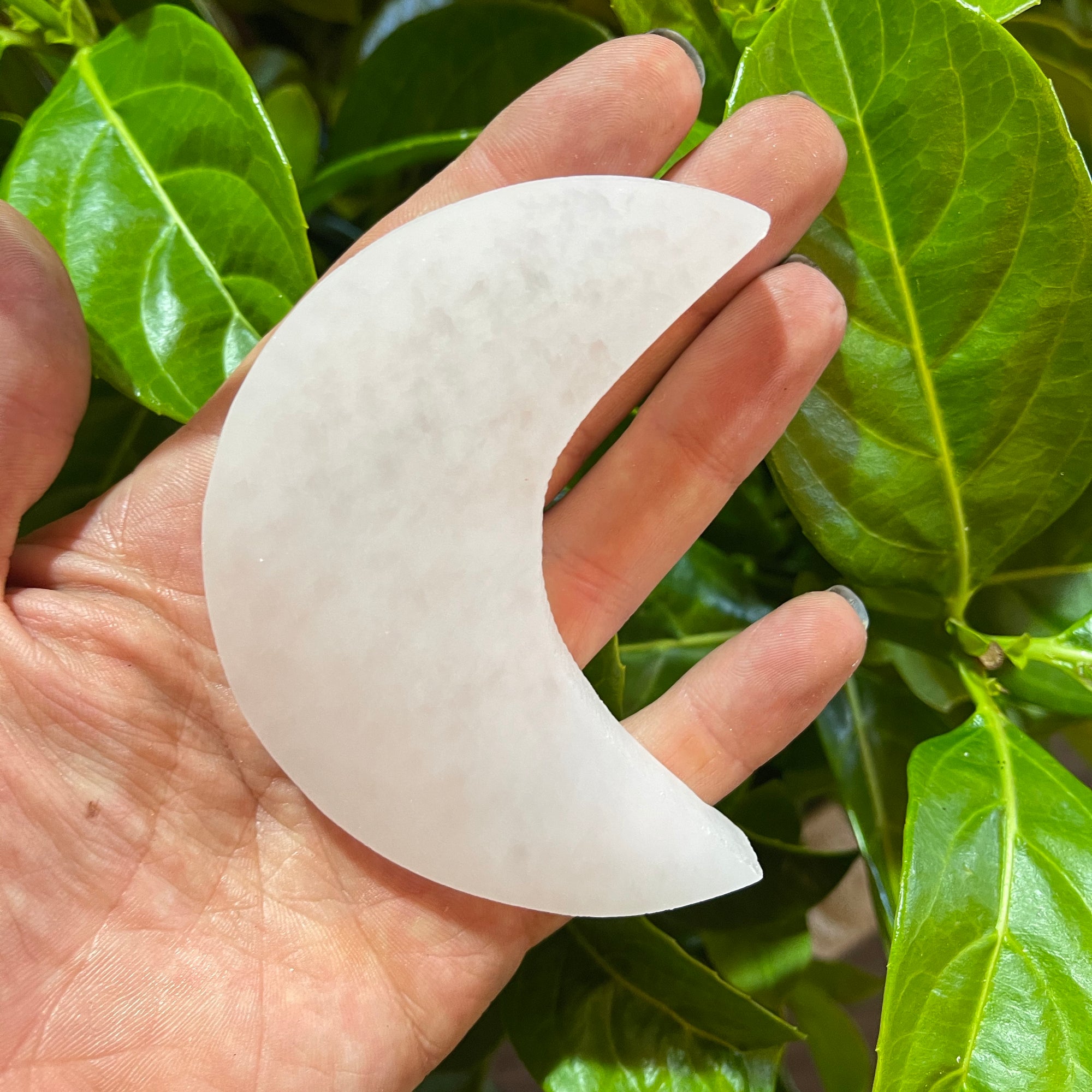 Selenite Moon Charging Plate - The Spirit of Life