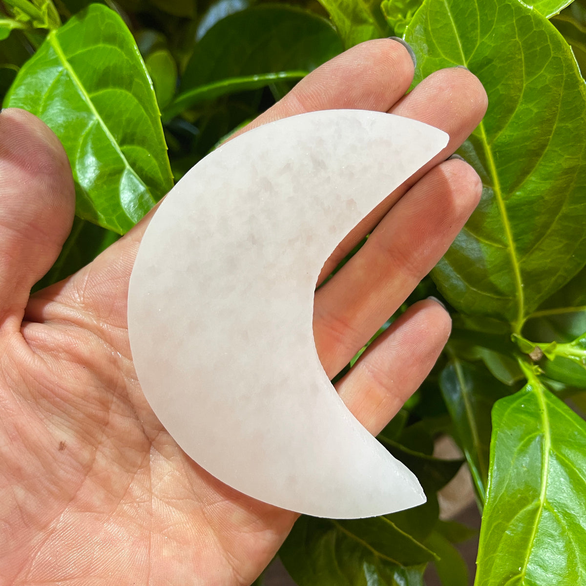 Selenite Moon Charging Plate - The Spirit of Life