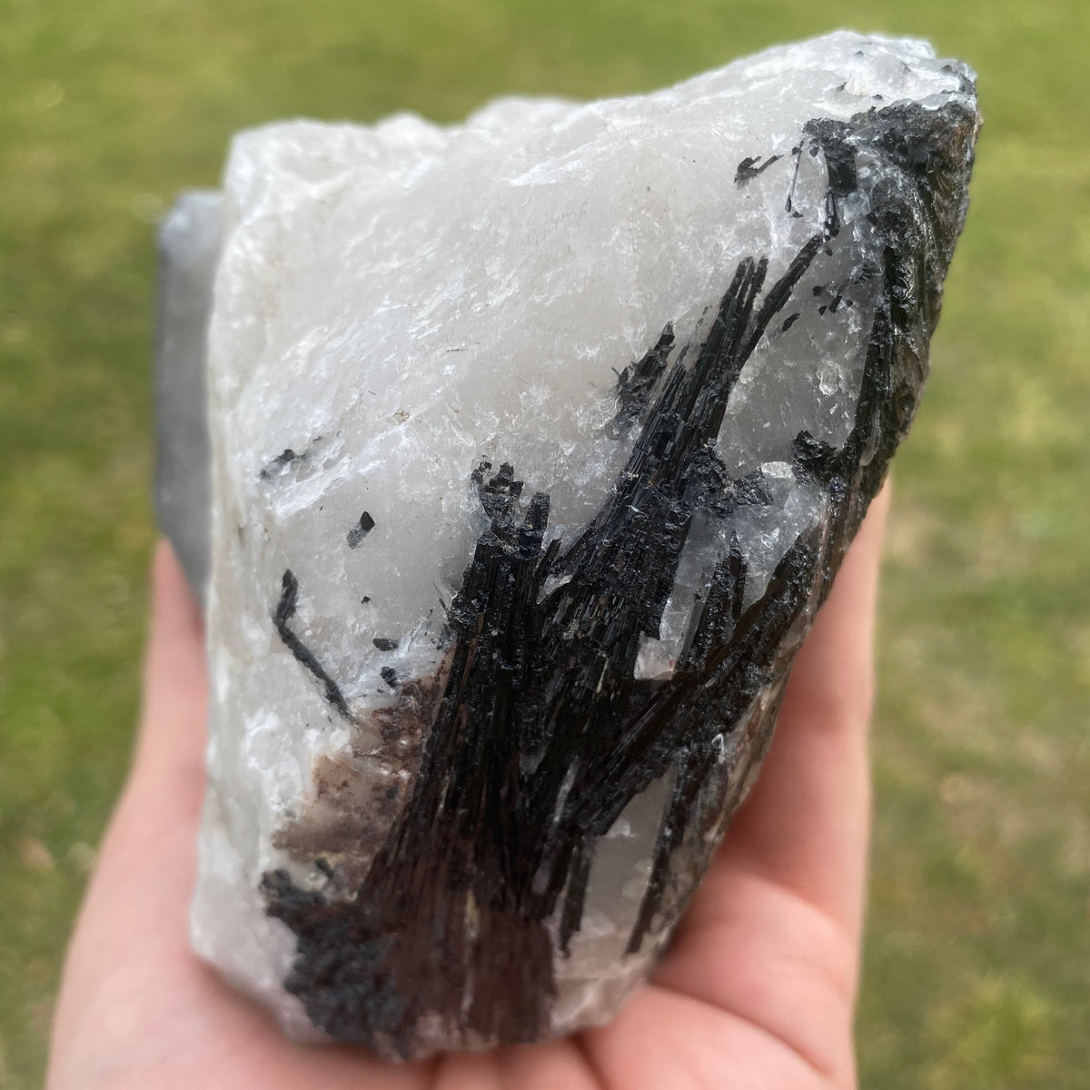 971g Natural Raw Black Tourmaline on Clear Quartz Crystal - The Spirit of Life