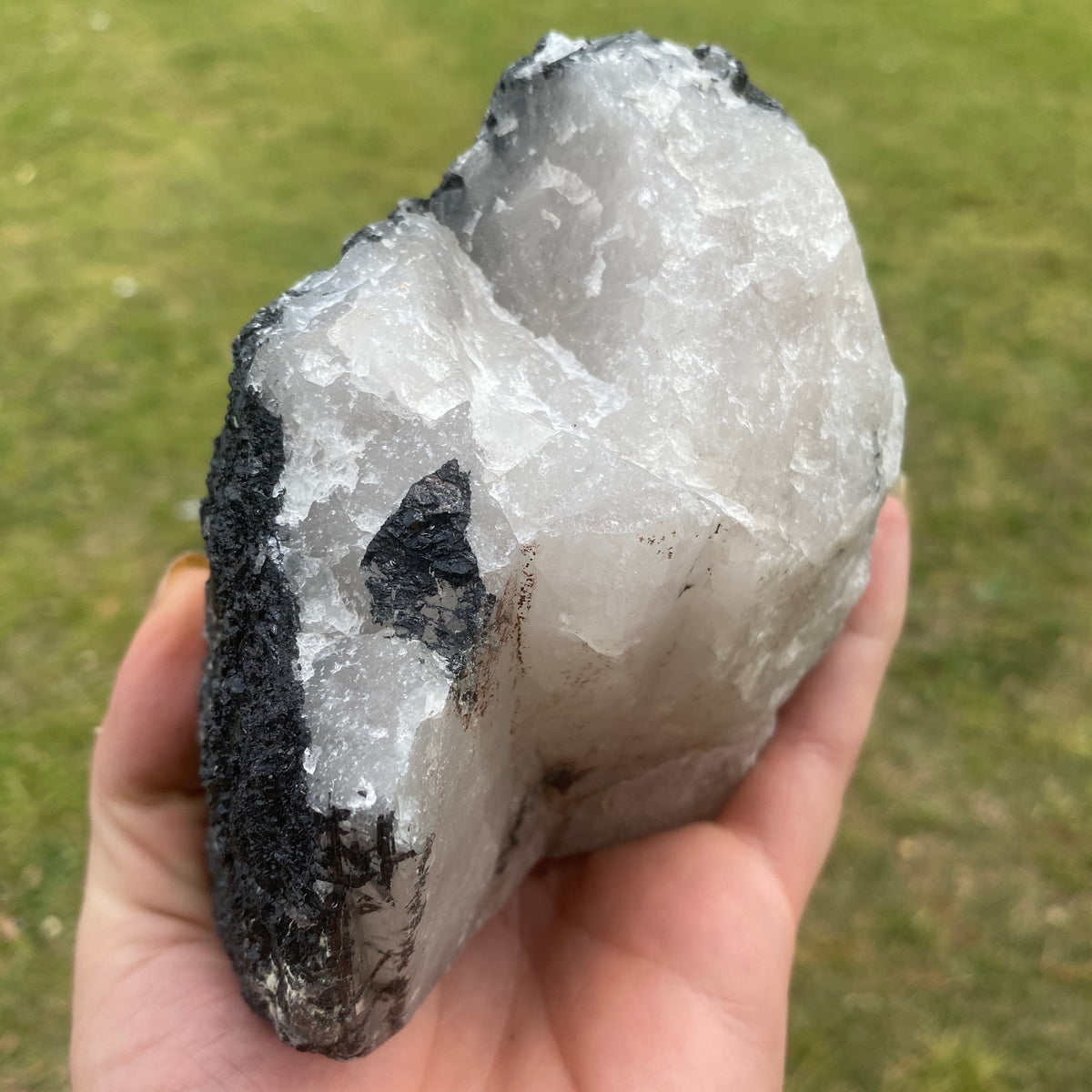 971g Natural Raw Black Tourmaline on Clear Quartz Crystal - The Spirit of Life