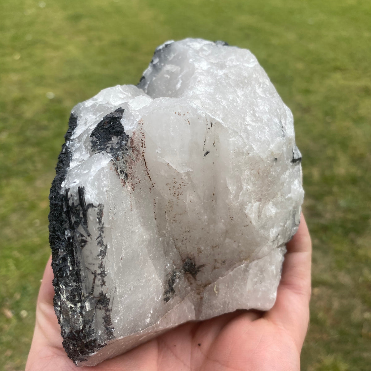 971g Natural Raw Black Tourmaline on Clear Quartz Crystal - The Spirit of Life