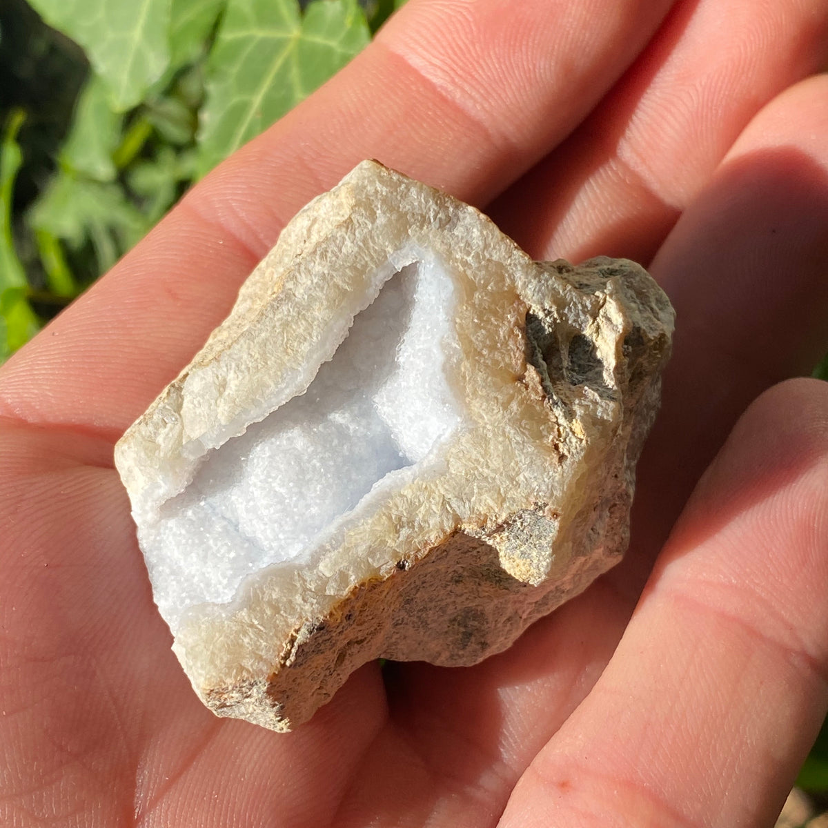 Blue Lace Agate Natural Geode 55g - The Spirit of Life