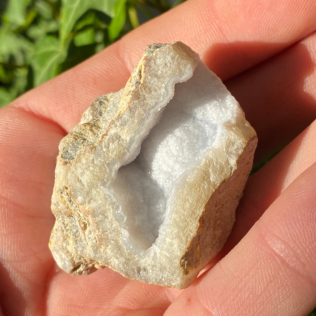 Blue Lace Agate Natural Geode 55g - The Spirit of Life