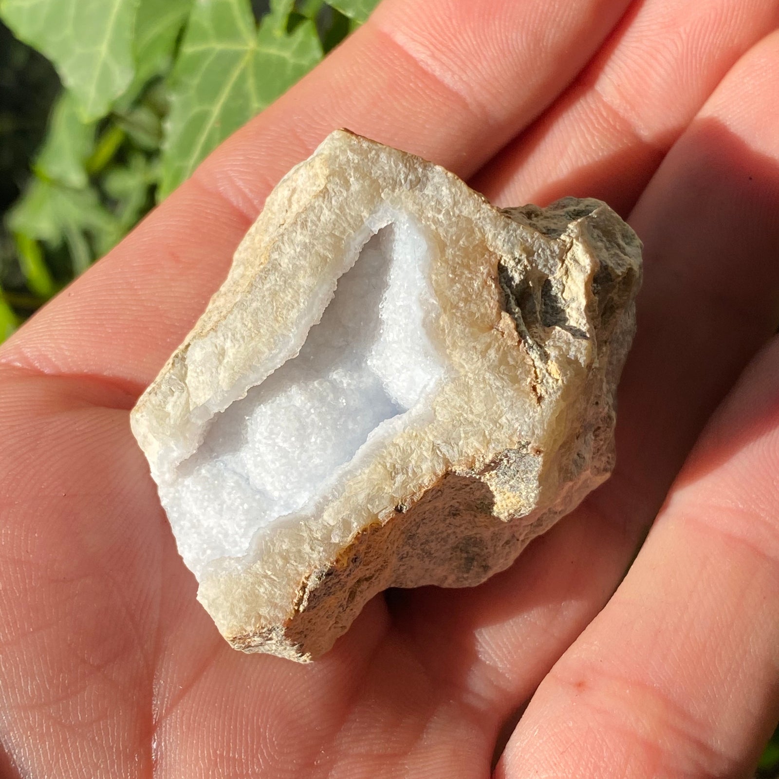 Blue Lace Agate Natural Geode 55g - The Spirit of Life