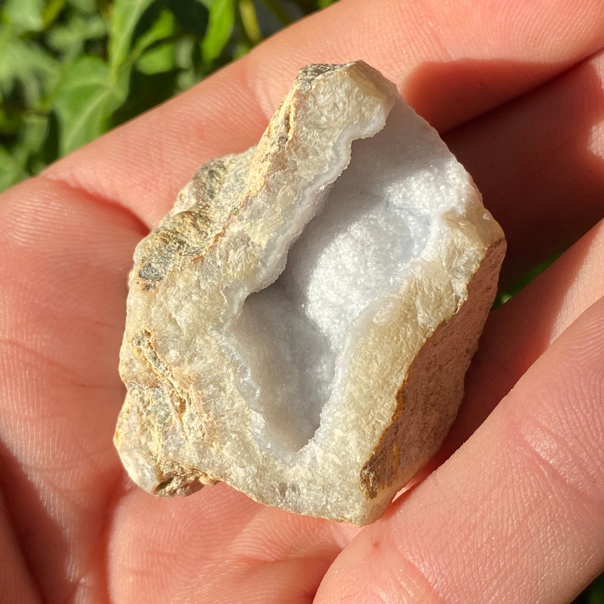 Blue Lace Agate Natural Geode 55g - The Spirit of Life