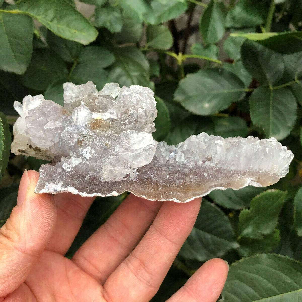 Natural Quartz &amp; Amethyst Cluster - The Spirit of Life