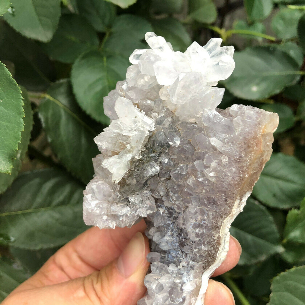 Natural Quartz &amp; Amethyst Cluster - The Spirit of Life